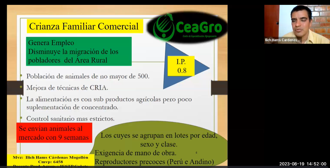 Sistemas de producción identificados en cuyes